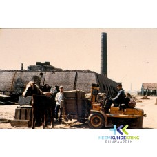 Vliegenwaard F00002601